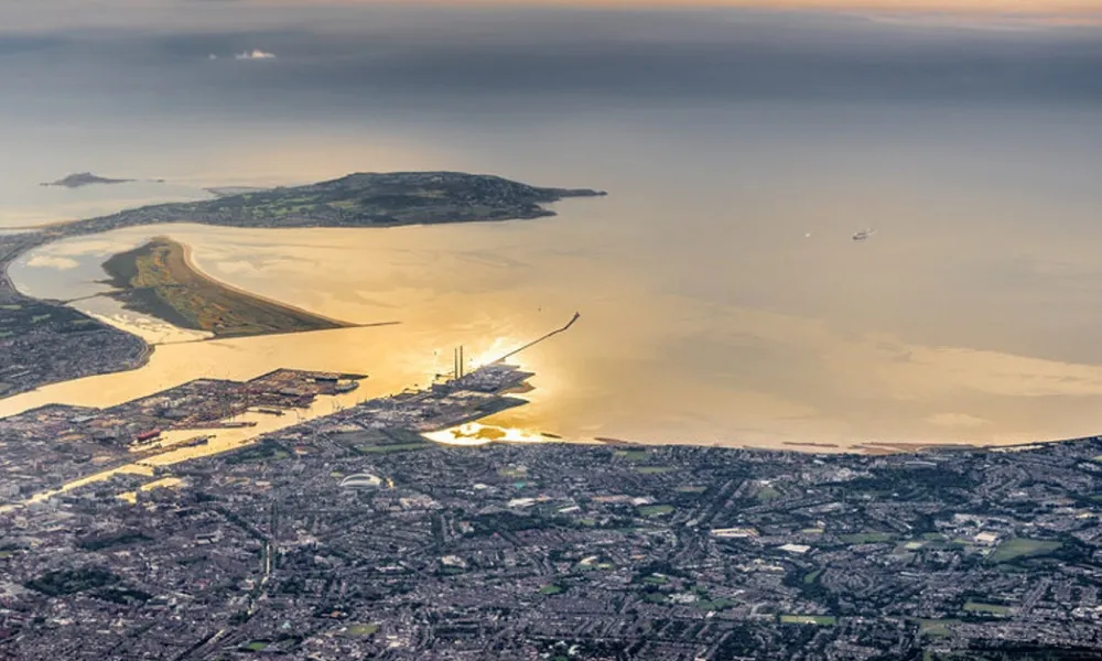 Dublin Bay Biodiversity