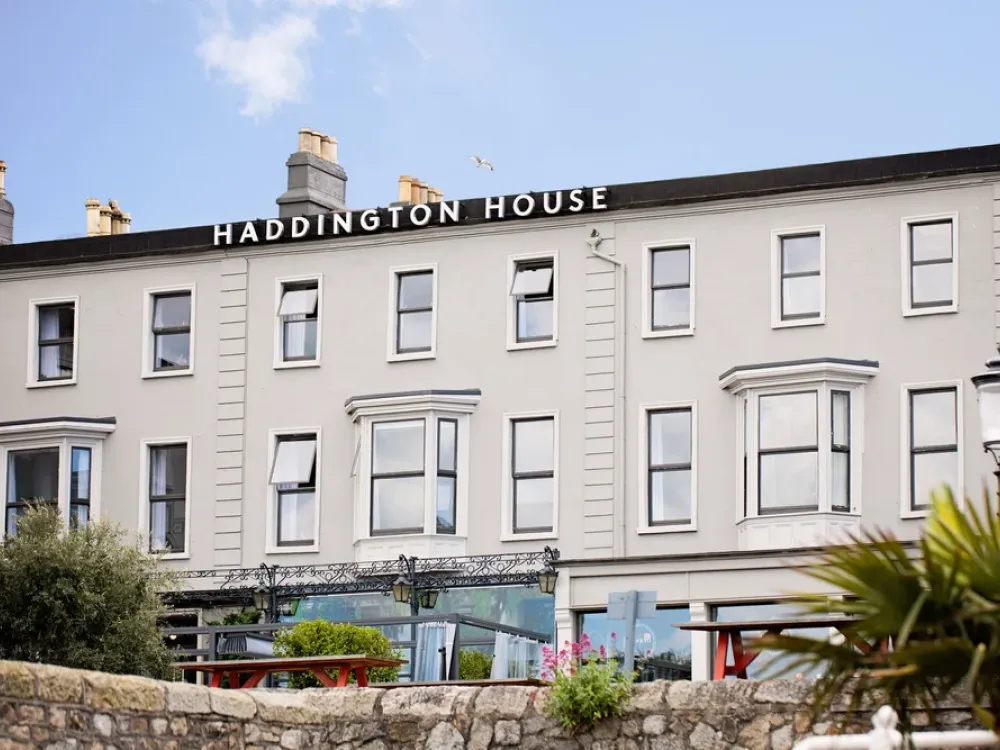 Exterior view of Haddington House with light-colored facade, bay windows, outdoor seating, greenery, and a seagull flying under a clear sky